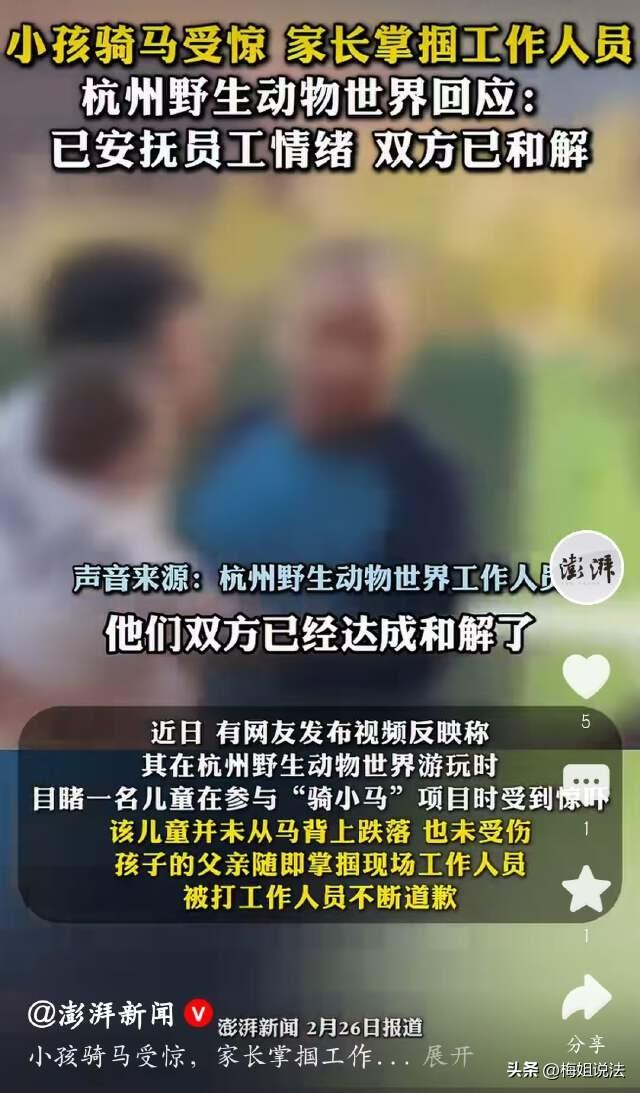 杭州，春节期间，野生动物园世界，发生了一起意外。一儿童在玩“骑小马”的项目时由于