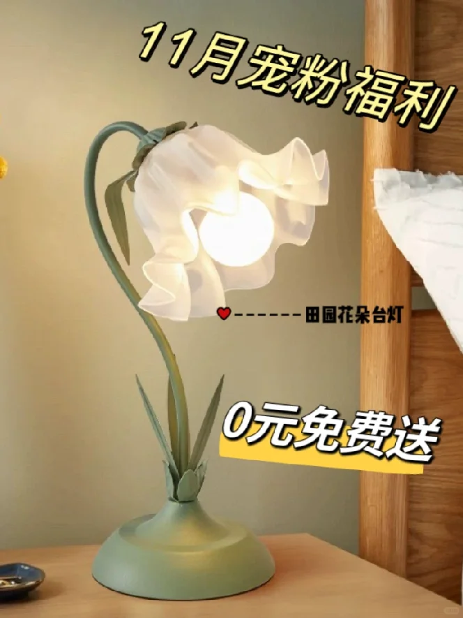 0元抽奖宠粉福利来啦❗️田园花瓣灯免费送❗️