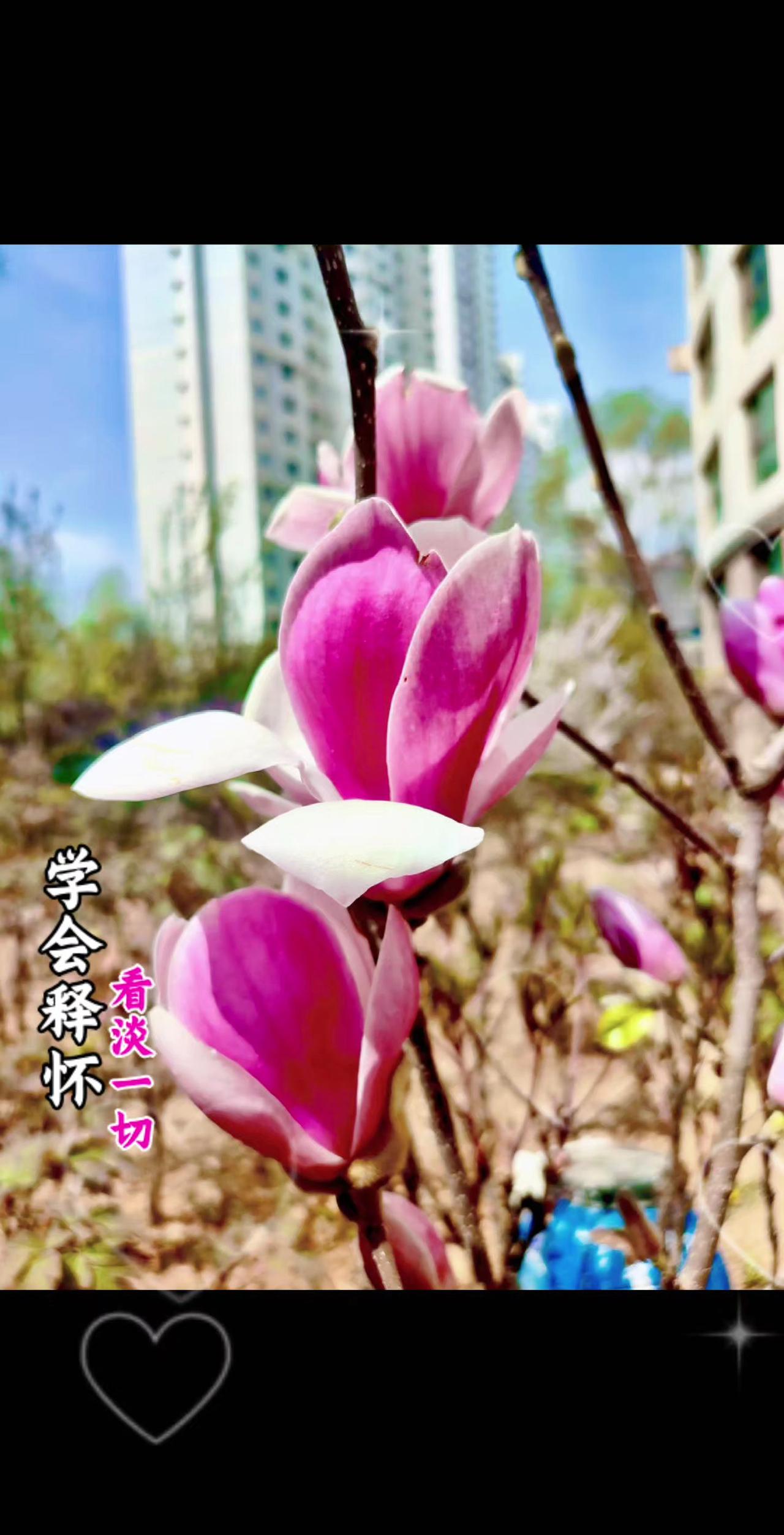 外表干净，是尊重别人
内心干净，是尊重自己
言行干净，是尊重灵魂
美不一定干净，