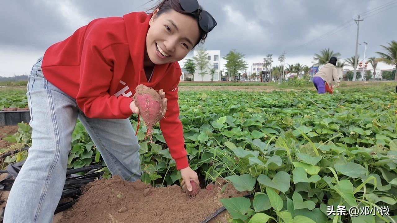 邓小微开年就出发，一人一车勇闯海南，从四川南充到海南澄迈，在桥头镇的沙土地里挖出