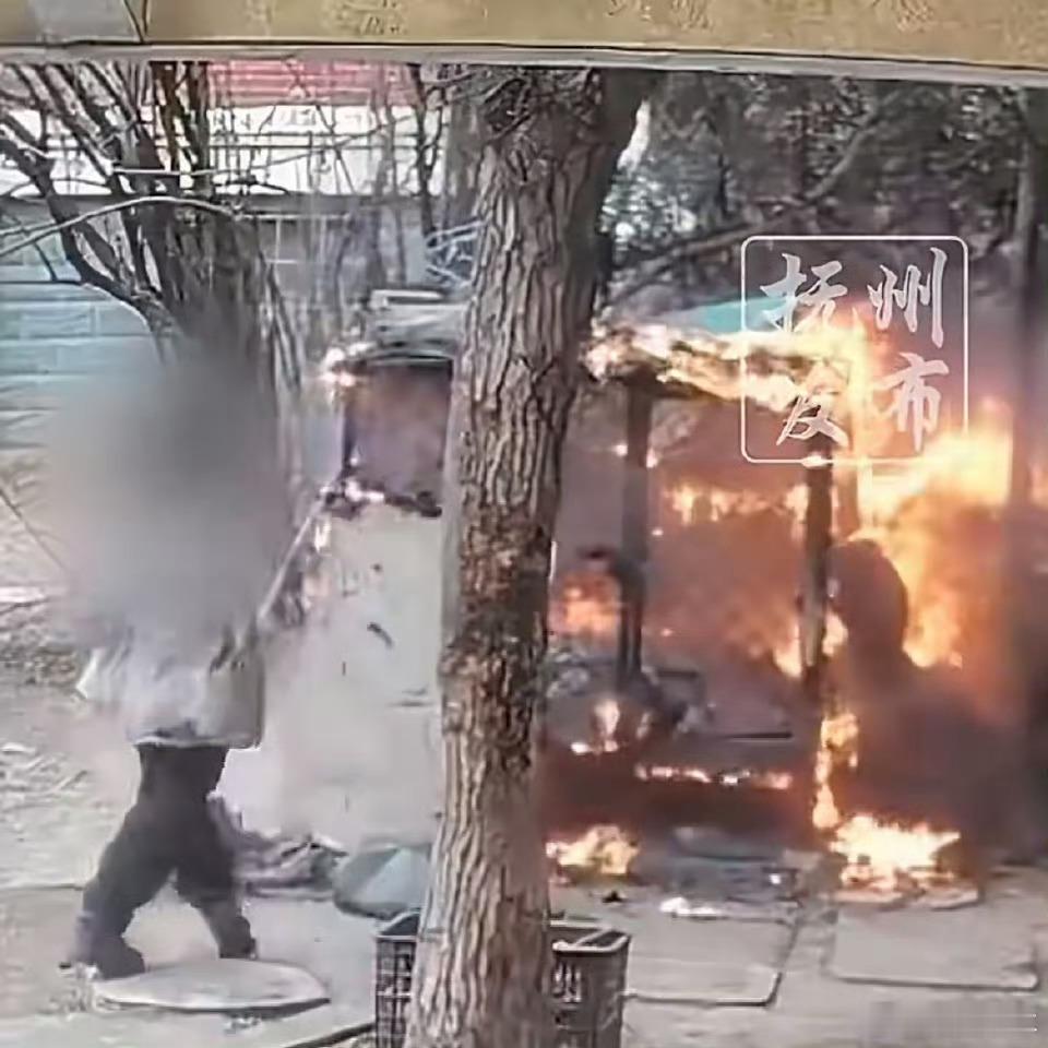 意外烧死萨摩耶两男孩已被批评教育批评教育就完了？监护人是不是应该做出赔偿，是不是