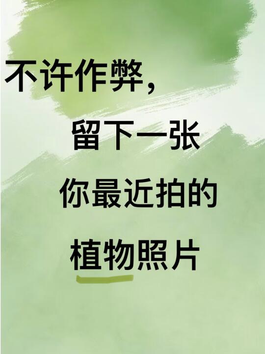 不许作弊🙃，留下一张你最近拍的植物照片