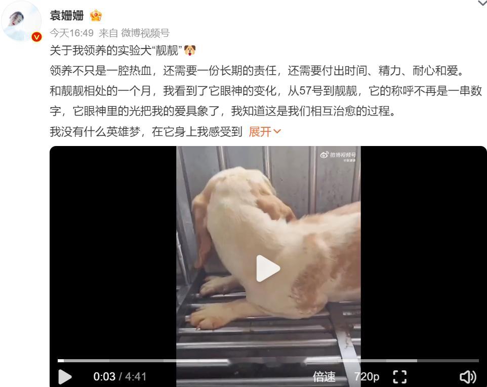 #袁姗姗让实验犬不再是一串数字#  袁姗姗领养的实验犬“靓靓”，并不只是一腔热血