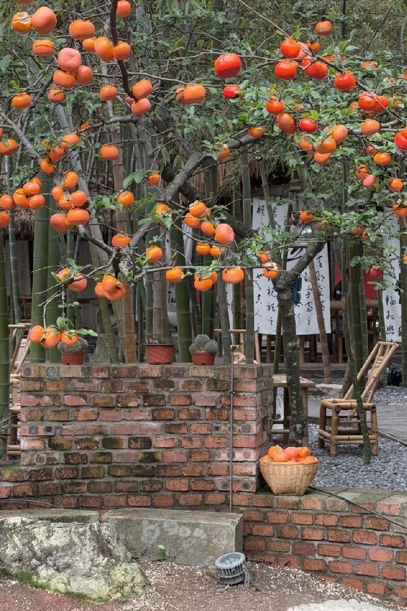 清明上坟回来，老公把一张泛黄的房契放在茶几上。说是他大伯留给他的三间南屋。

我