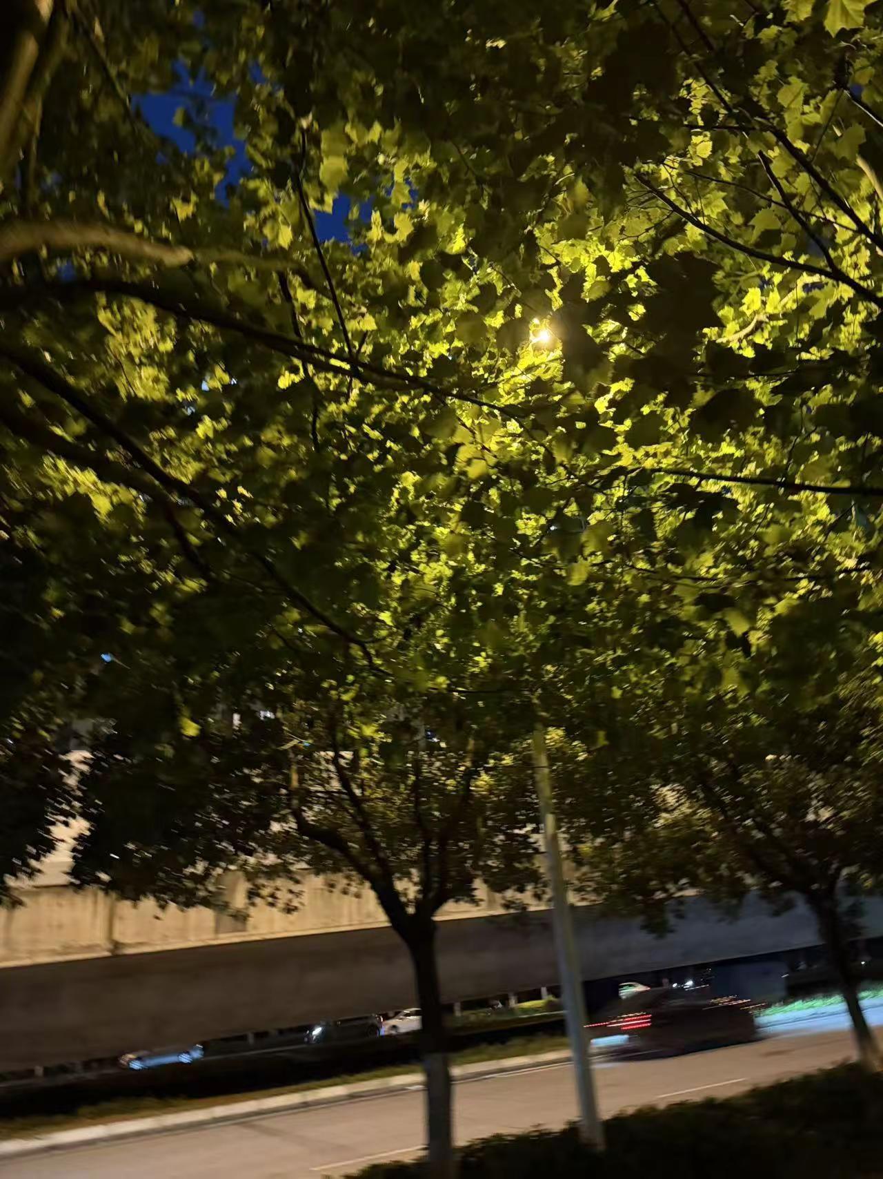 夏天的天空格外明亮又格外惬意。把盛夏交给火把节 城市孤独感 灯火通明的城市