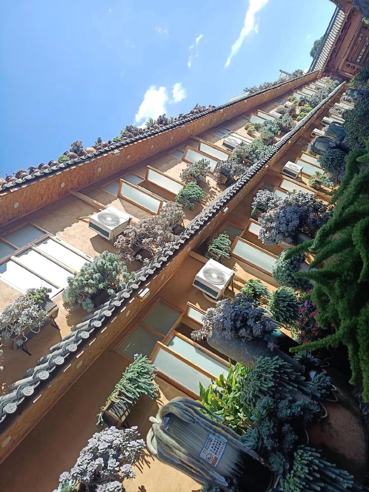 被欺负还被描黑？欺负者为啥这么做🤔？或是掩盖自己恶行，或是想让众人孤立你😢。