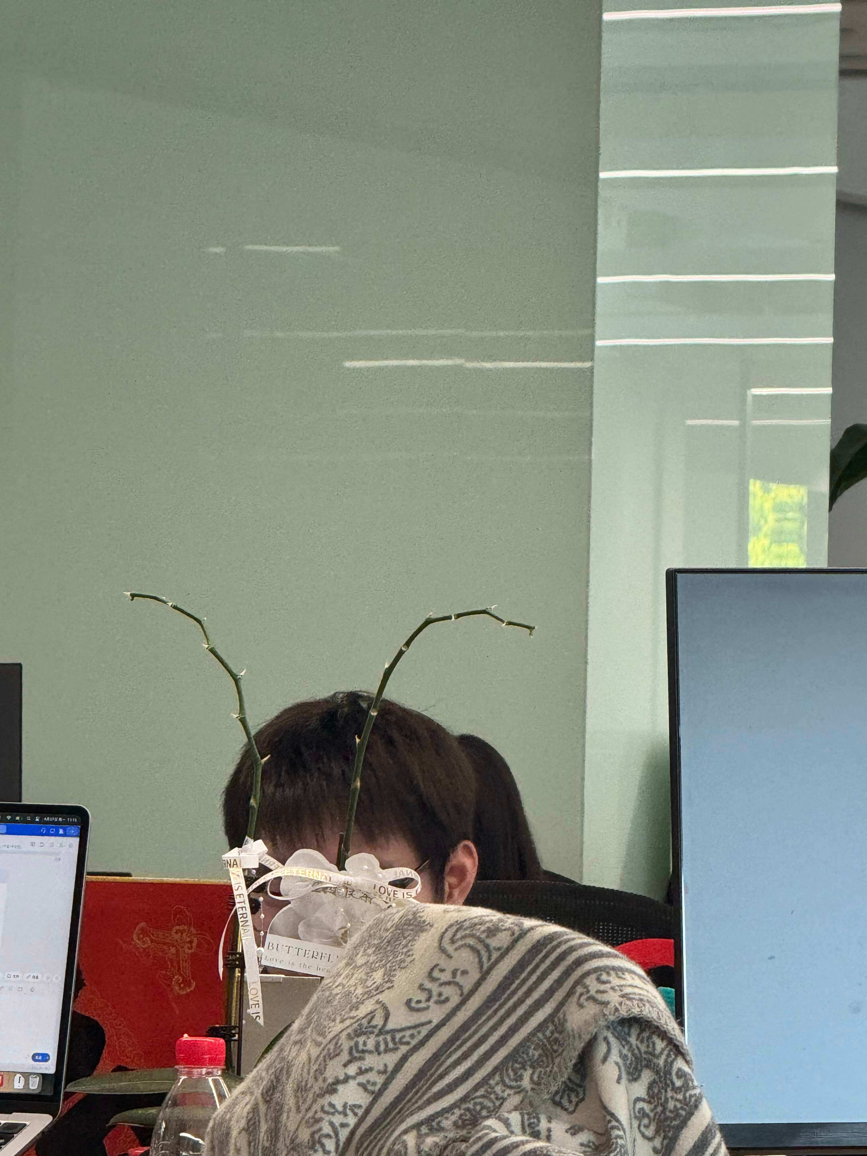 同事的超前进化哈哈哈哈蟑螂
