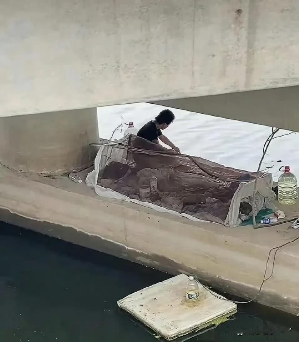 这是大家想要的田园生活吗？无丝竹之乱耳，无案牍之劳形，没有世间的烦心事，没有工作