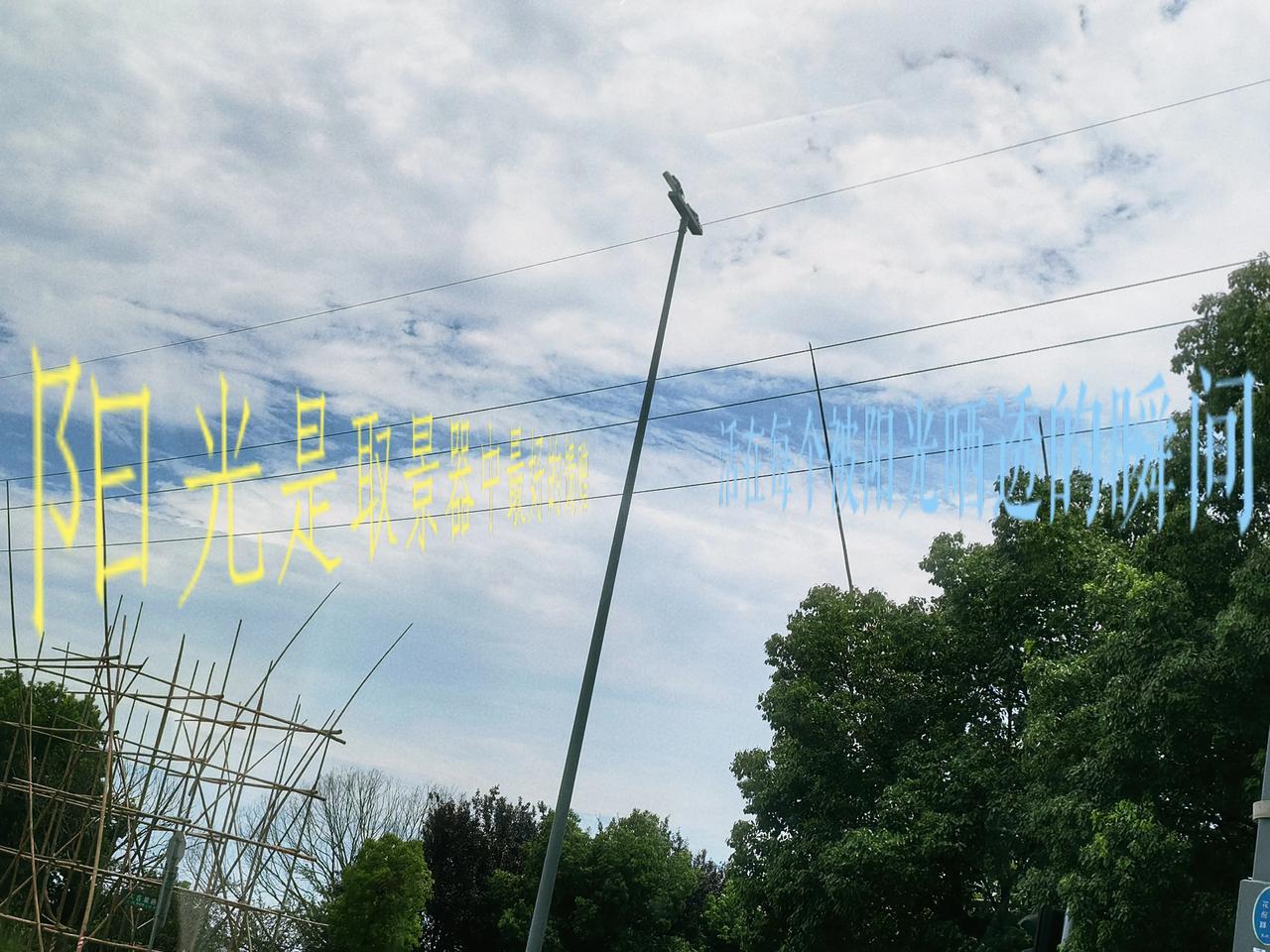 热烈的季节，
就该活得明亮又坦荡。
我对夏天的爱，
比正午的太阳还滚烫，
半分都