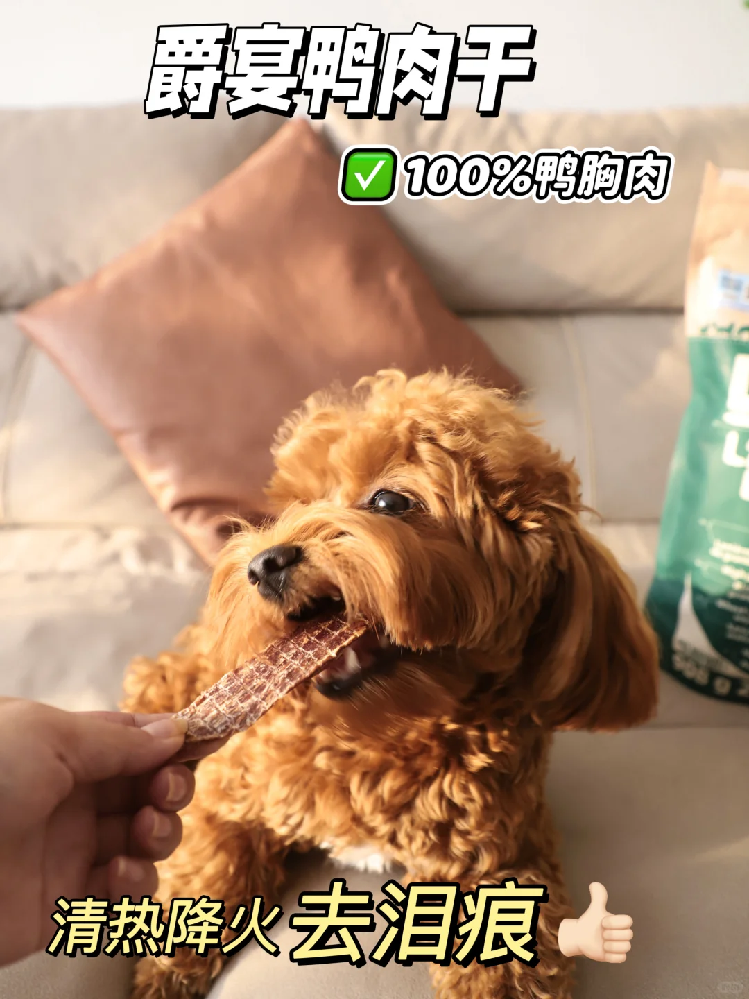 双十一狗狗零食怎么挑？点进来一篇全！