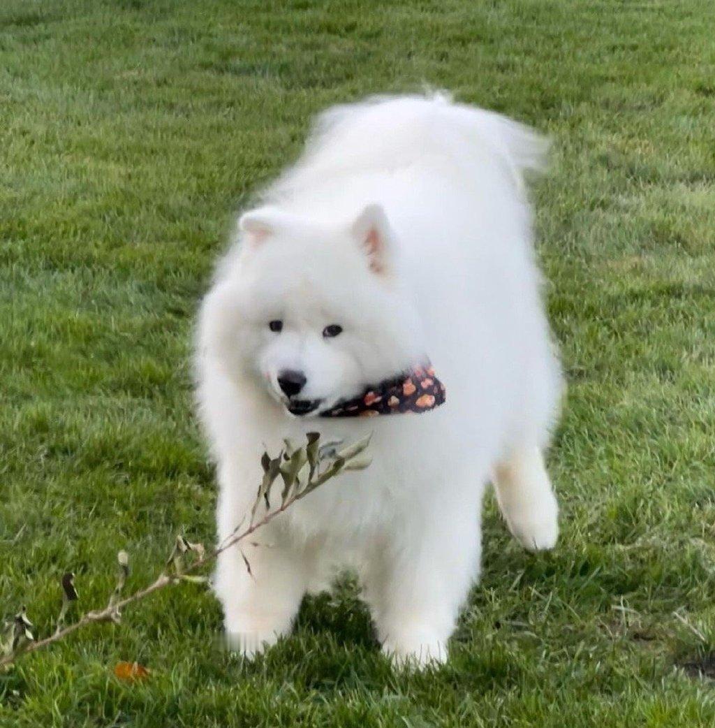 春节前，你最期待的一件事会实现！ 