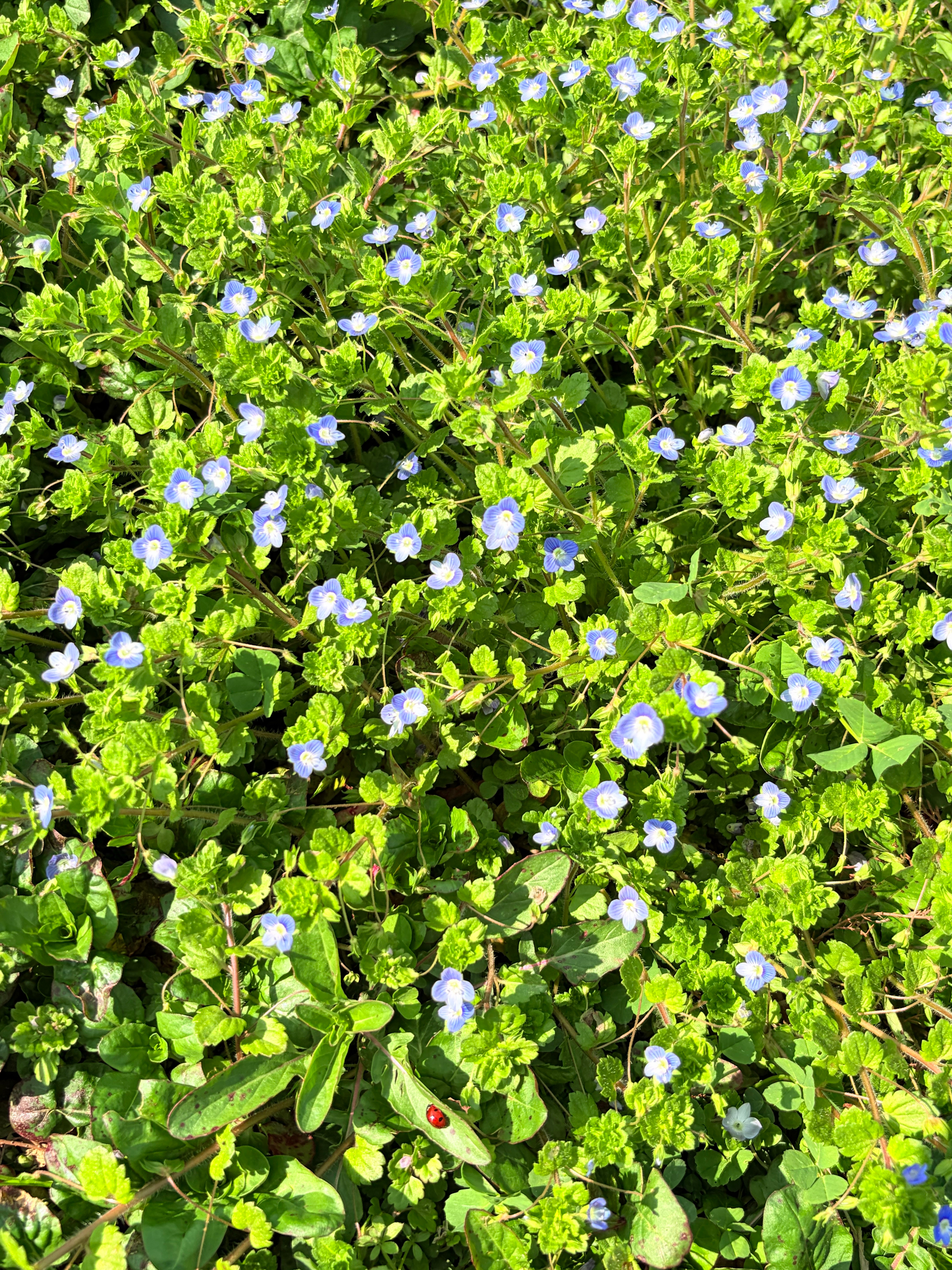 早，朋友们！今天有啥安排？现货黄金