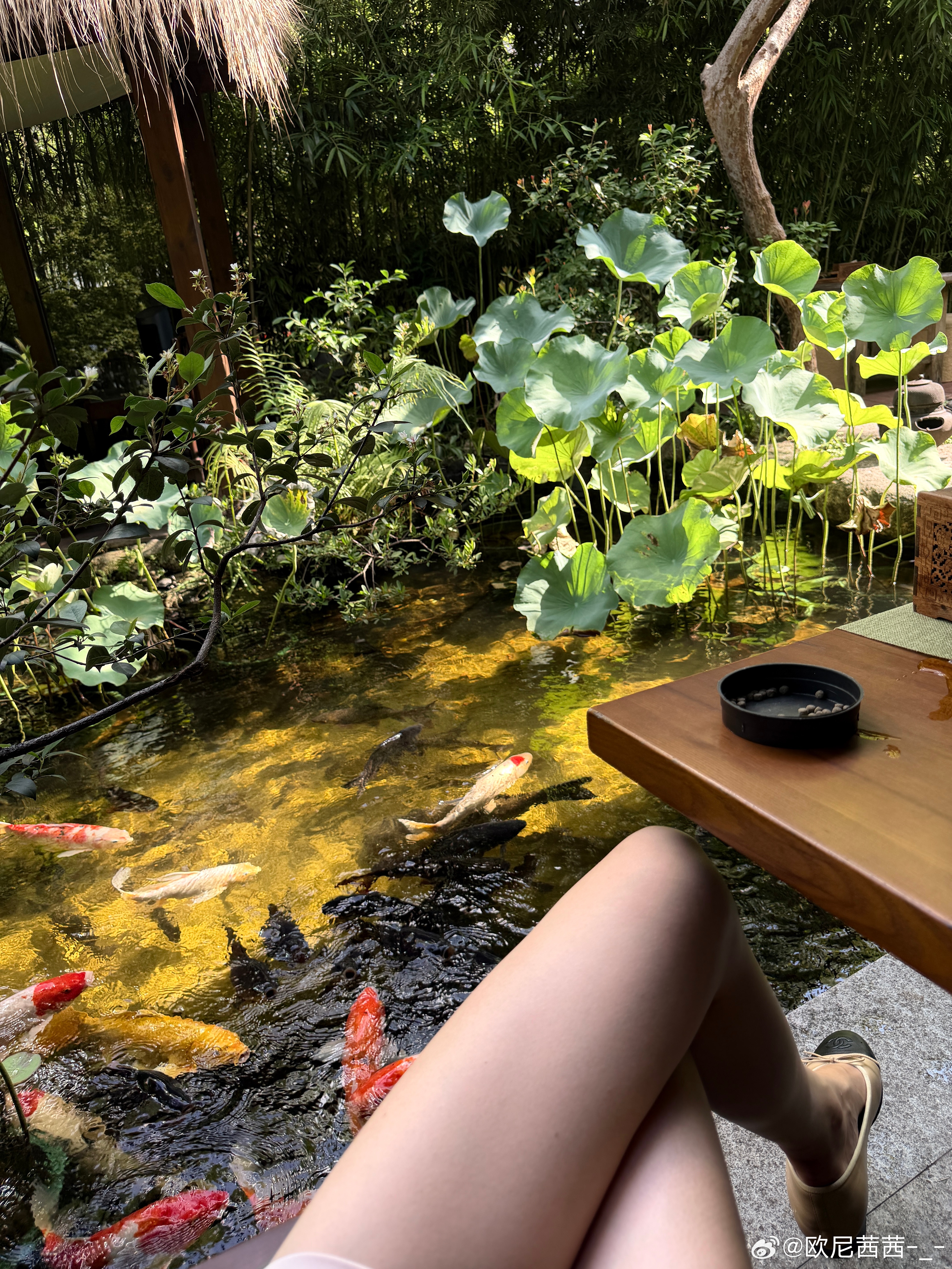 喂了一下午🐟欧尼茜茜