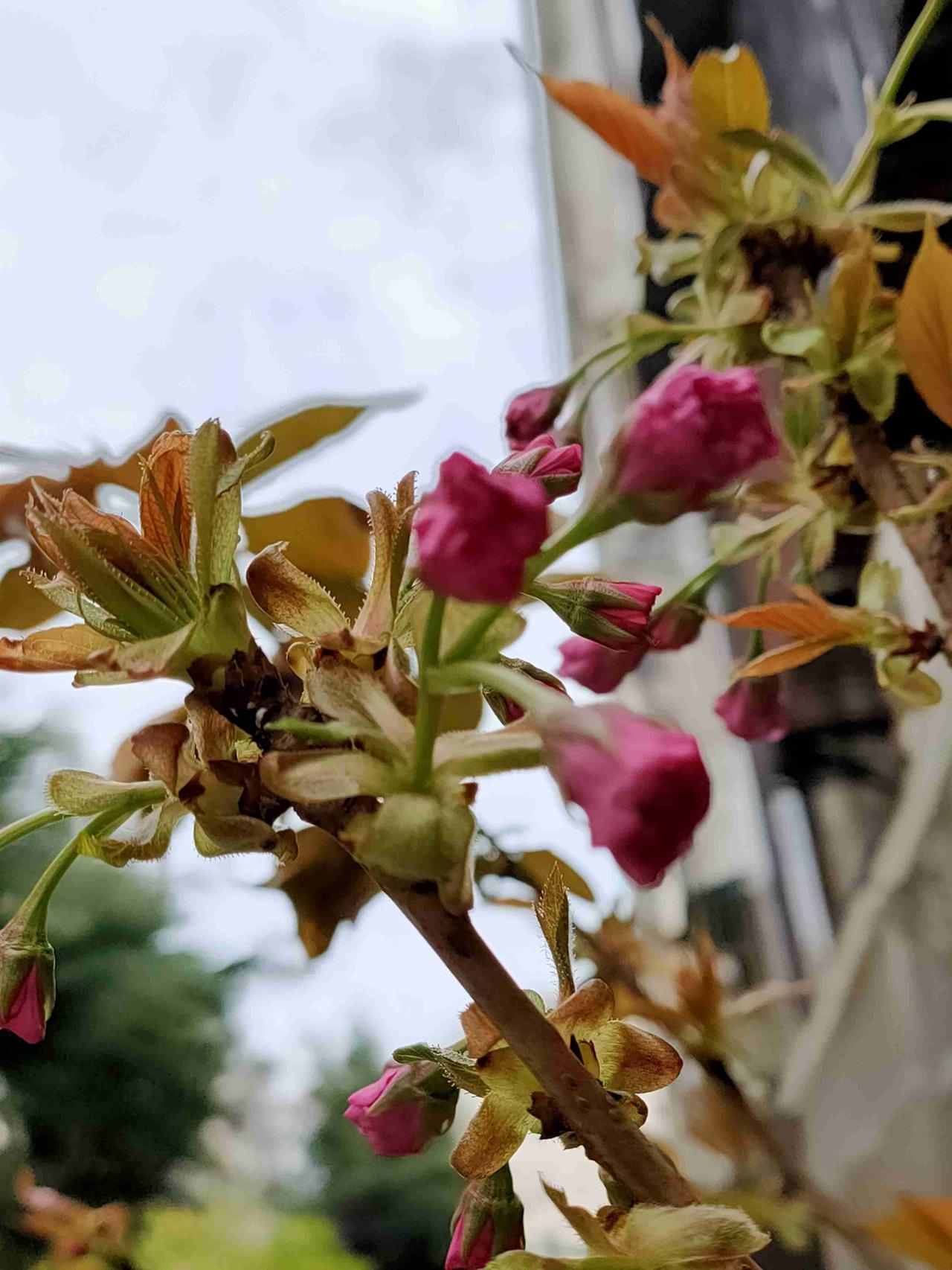 我的今日状态：💰期待暴富
我这里的天气：🌤️多云