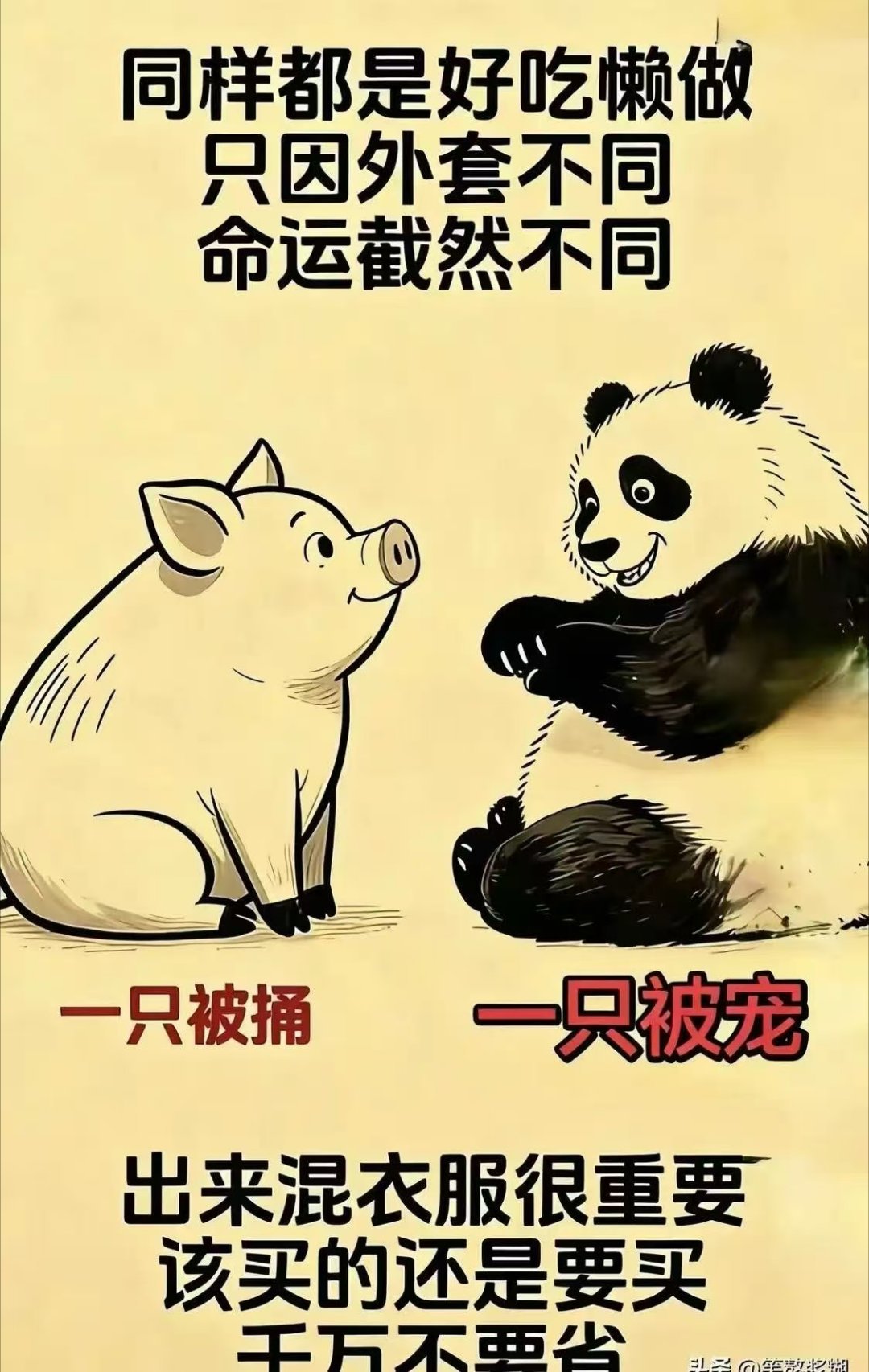 看图说话 【同样都是好吃懒做 只因外套不同命运截然不同】 