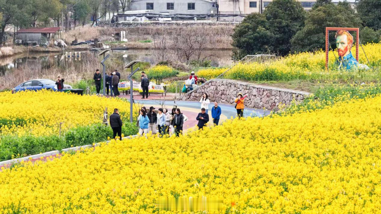 宁波宁海这个村靠整村运营火了 宁波宁海越溪乡南庄村凭借整村运营模式走红，依山傍海