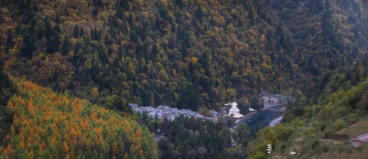 鹧鸪天·川西秋深
 十里丹林染碧流，
晴光穿树暖如绸。
山衔落日金铺野，
水带寒