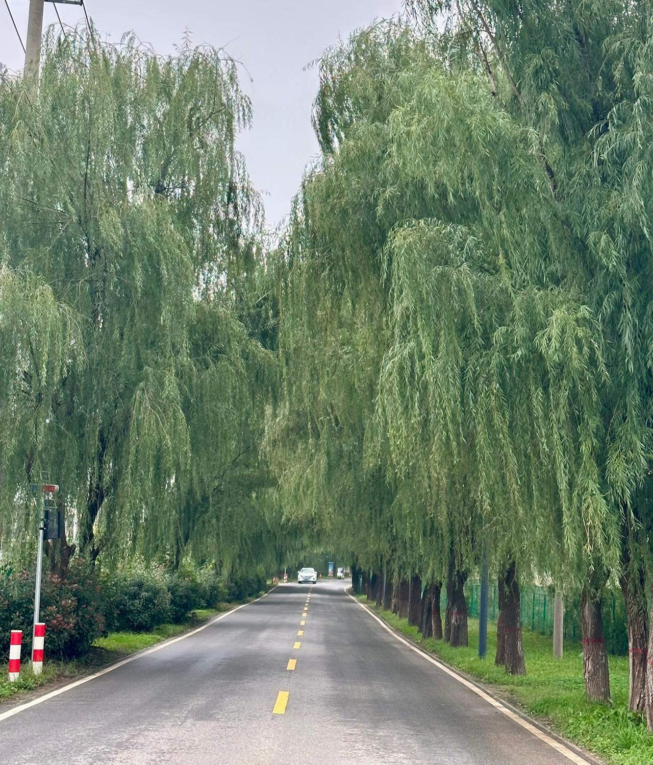 在头条上看了很多人到中年失业的，社保没有交满年限，或者交够了，但是离退休还差个几