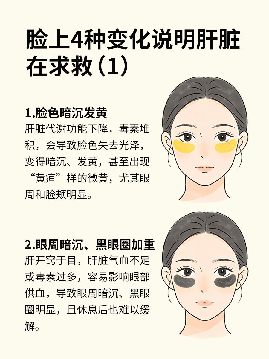 脸上出现这4种变化，肝在向你求救
肝脏是人体重要的代谢器官，默默为身体“排毒”，