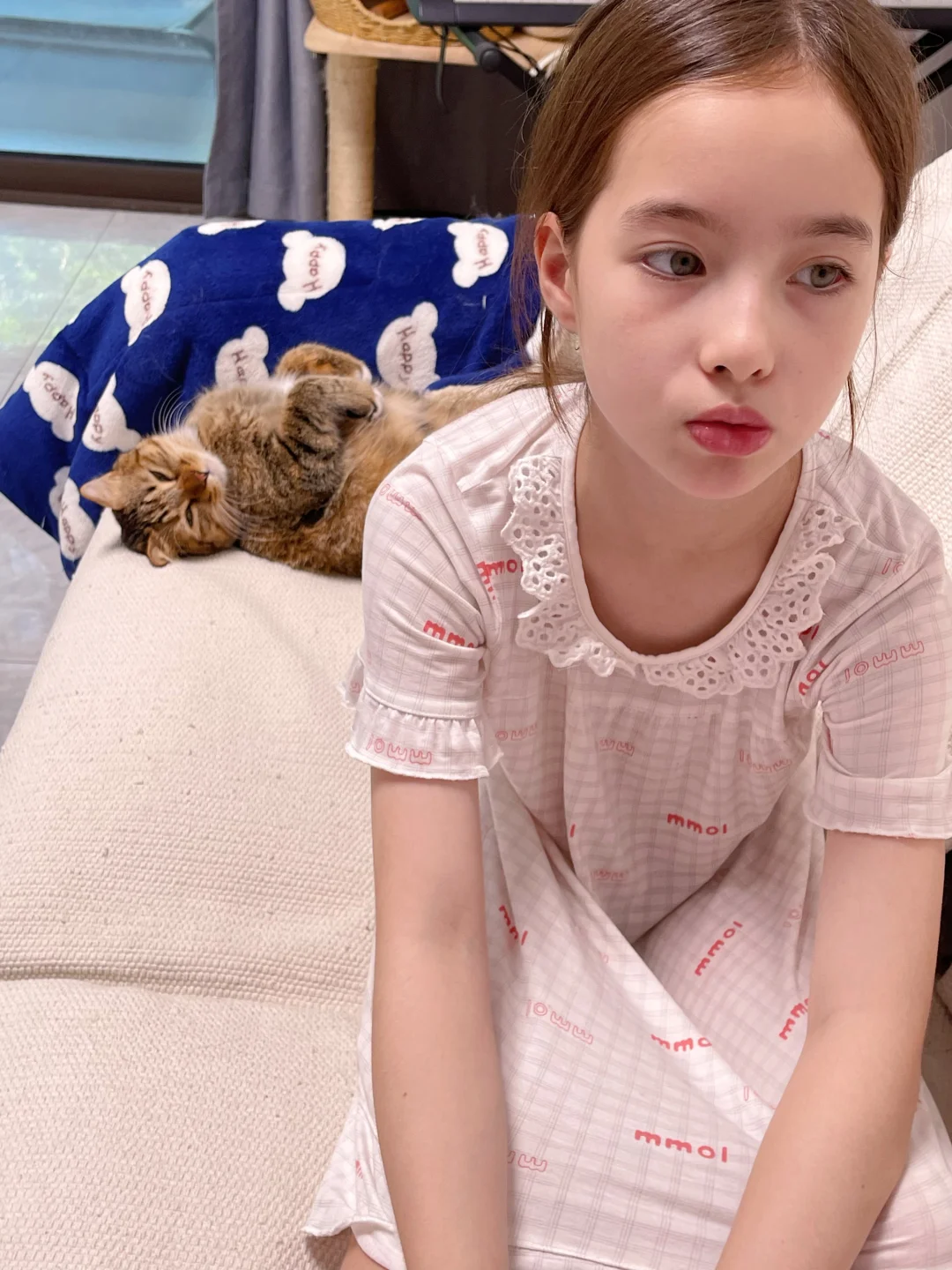 谁家没点小猫咪呢