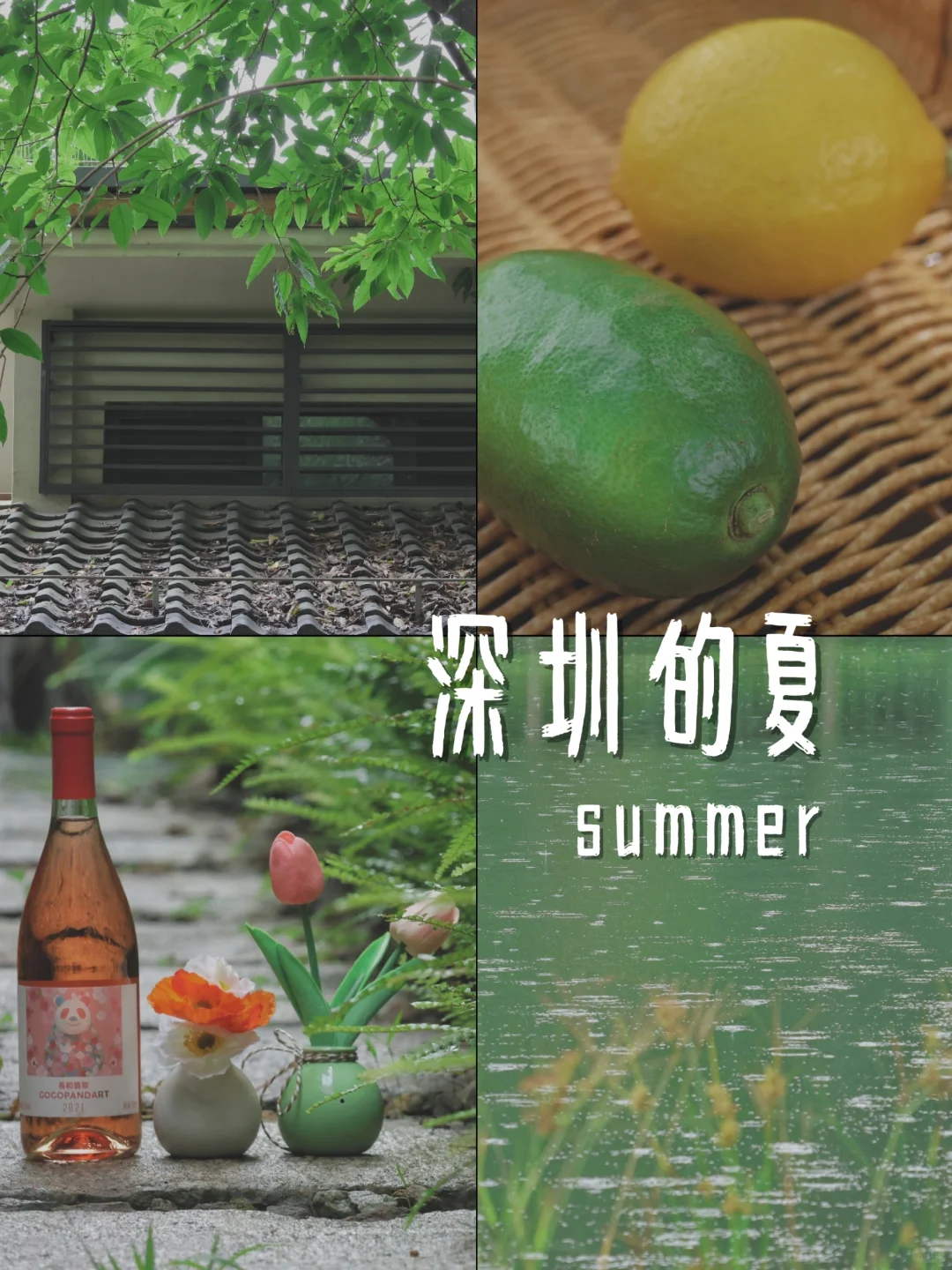 那些属于深圳的低饱和绿色的夏天🌳🌳