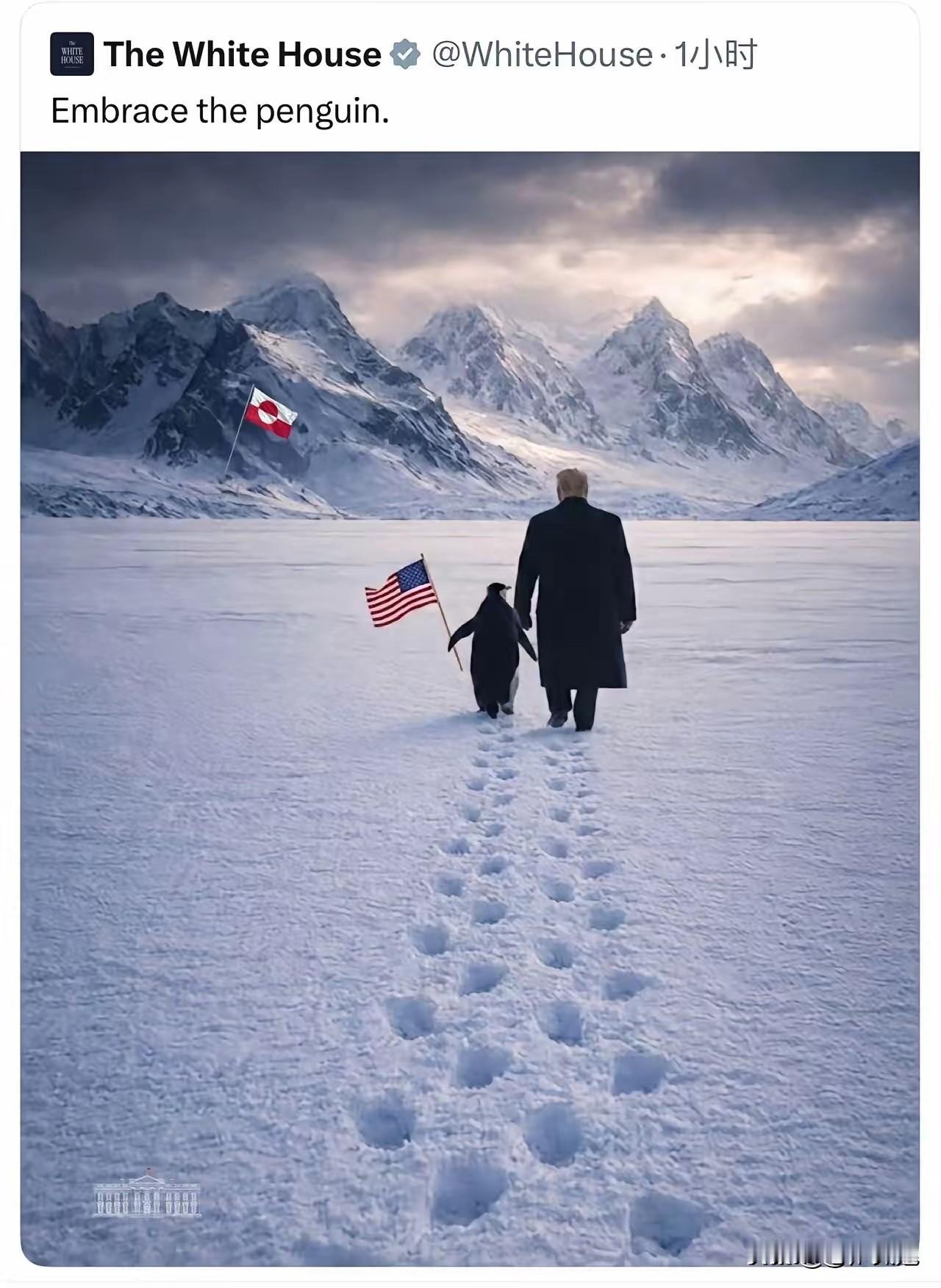 格陵兰岛我来了！白宫发了一张官方P图，特朗普牵着企鹅，企鹅拿着星条旗，走在格陵兰