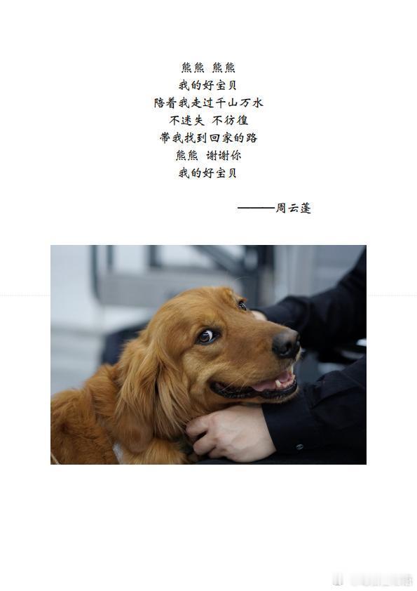 周云蓬怀念熊熊巡演  在现场给前来观看演出的观众朋友们准备了熊熊的纪念明信片，朋