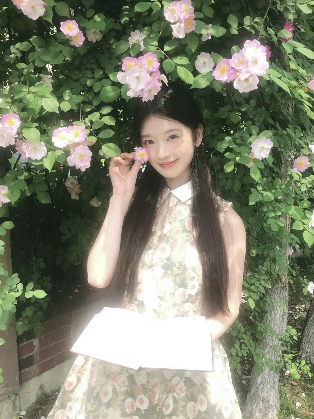 " 𝐅𝐥𝐨𝐰𝐞𝐫 "🌸