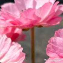 每日一善每日一善‎阳光‎信用 🌞极好784，均🉑蹭🉑转与优质用户保持良好的