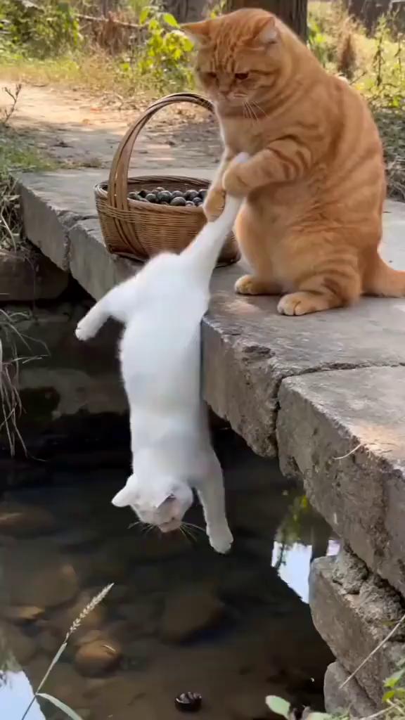有人。