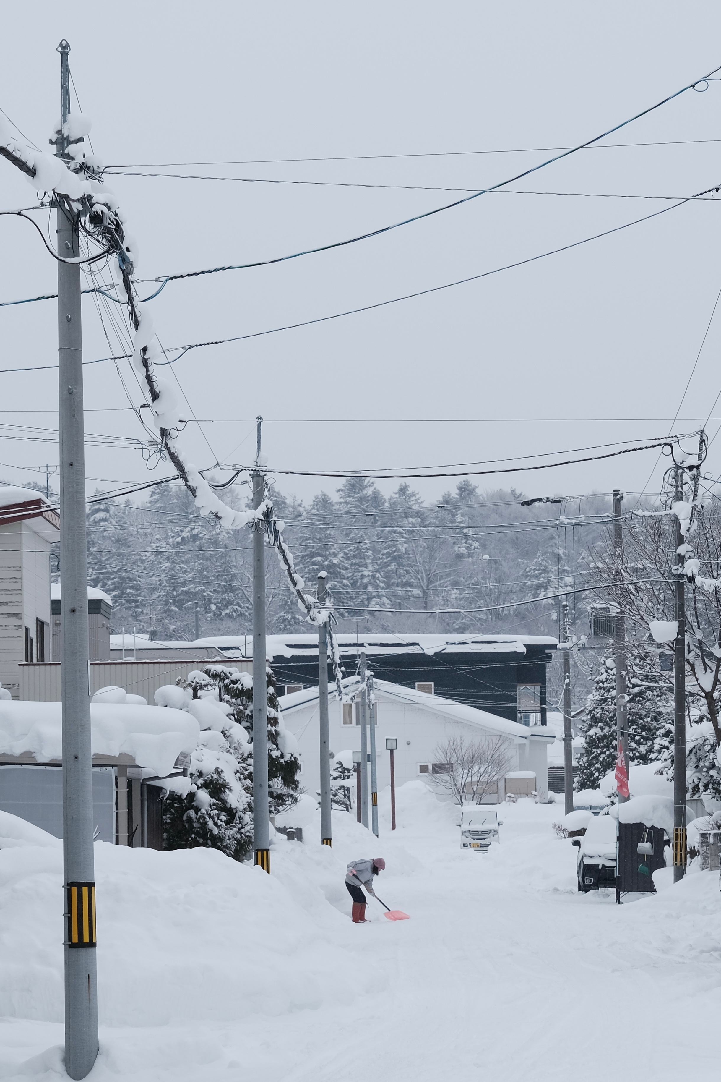 旭川是北海道第二大城市，距离札幌一个半小时车程，最有名的景点是看帝企鹅🐧散步的