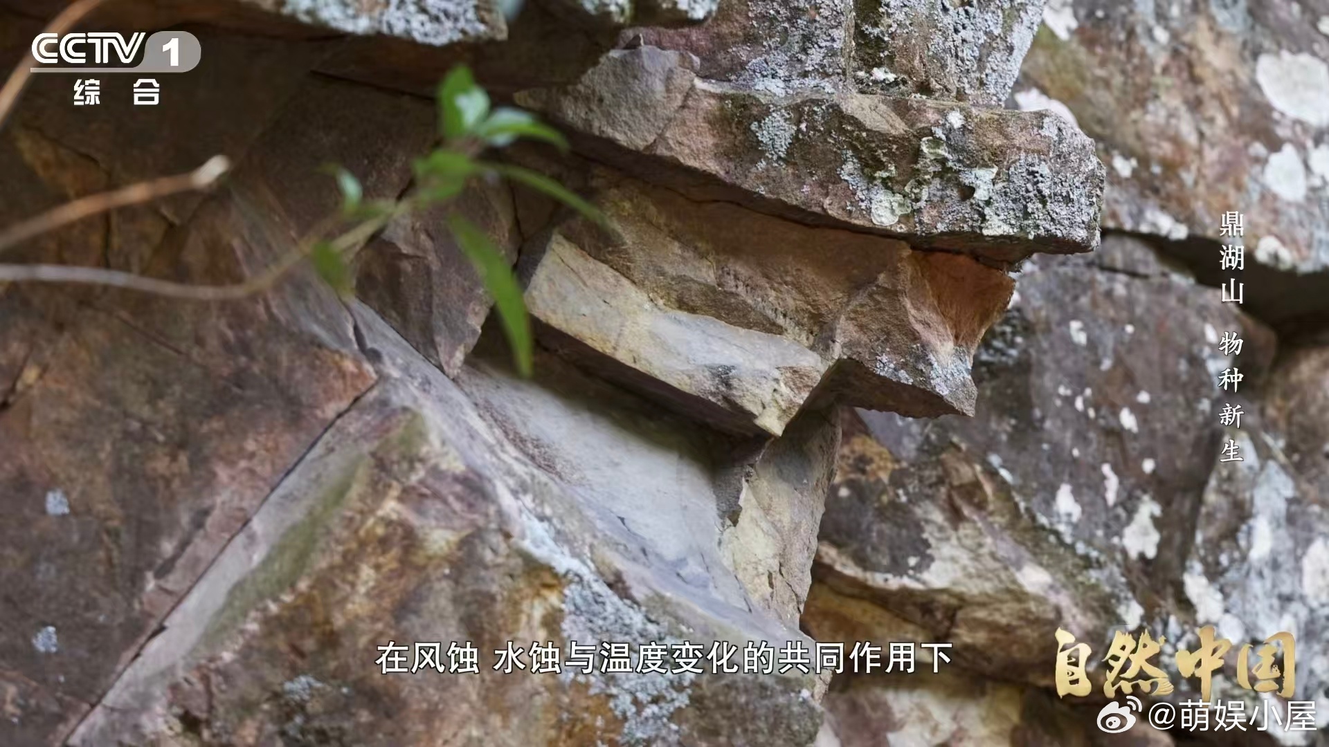 土壤的土腥味从何而来 岩石变成土壤并非易事🌍风蚀、水蚀与温度变化共同作用，经过