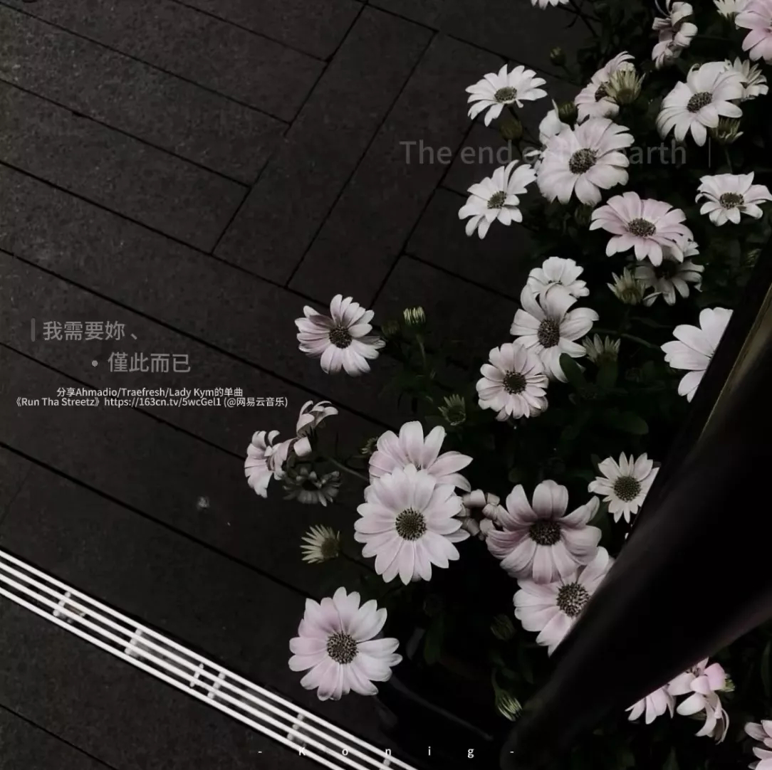 审美训练｜WeChat女生头像丨美女头像丨氛围感女头丨头像分享丨ins丨小众头像