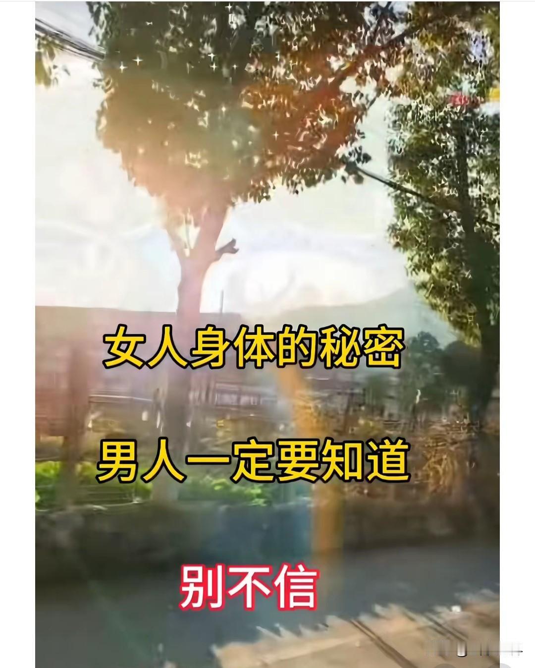 女人四个宝贵部位排行榜

1.  容貌：女人的荣貌非常重要，可称谓，眉清目秀，容