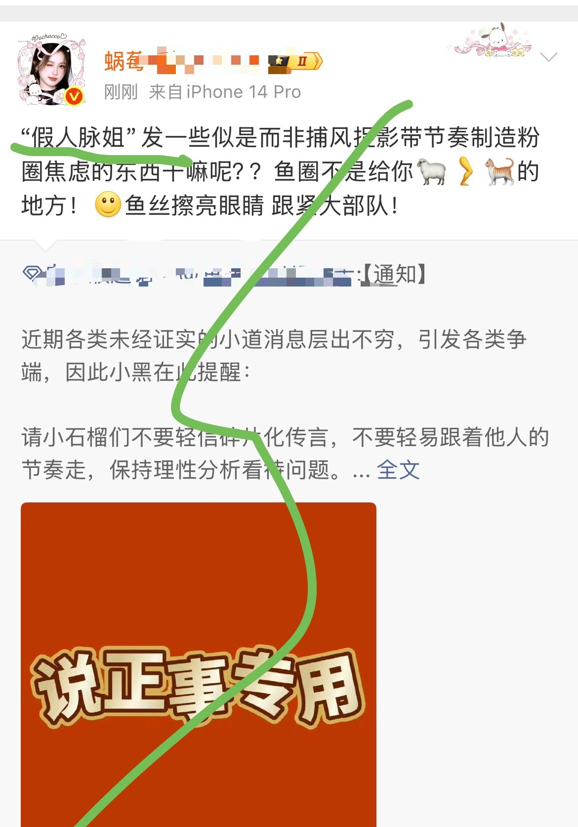 这个涡莓说的是那个兔子吗