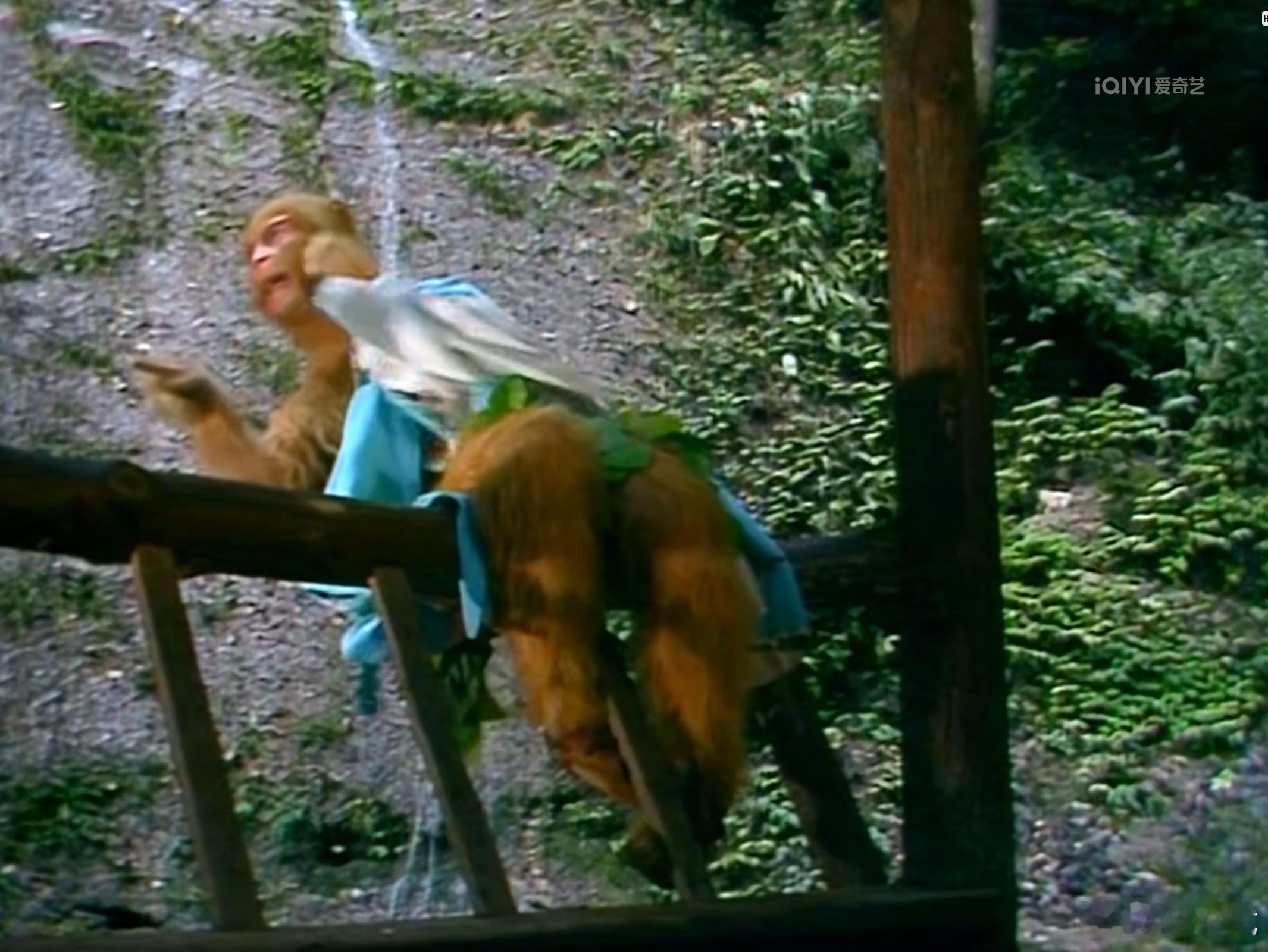 AI解构西游（9）石猴找到菩提祖师的经历，颇为偶然——寻仙途中，他听有樵夫唱歌，