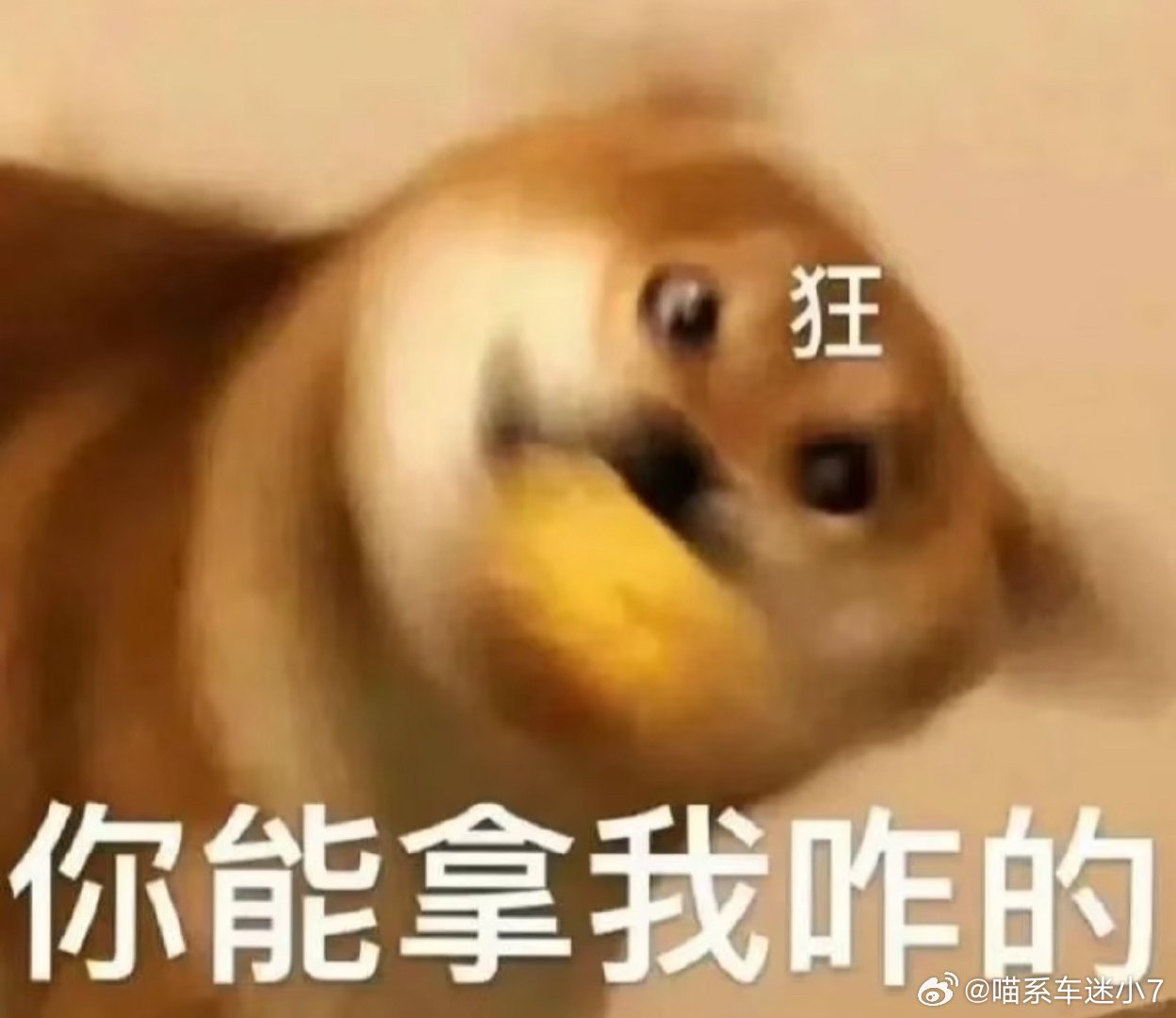 晨跑vs夜跑的区别我很早以前都尝试过总结出来的经验如下：晨跑：起得来就赢了一半，