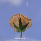 暖意暖热读影视剧