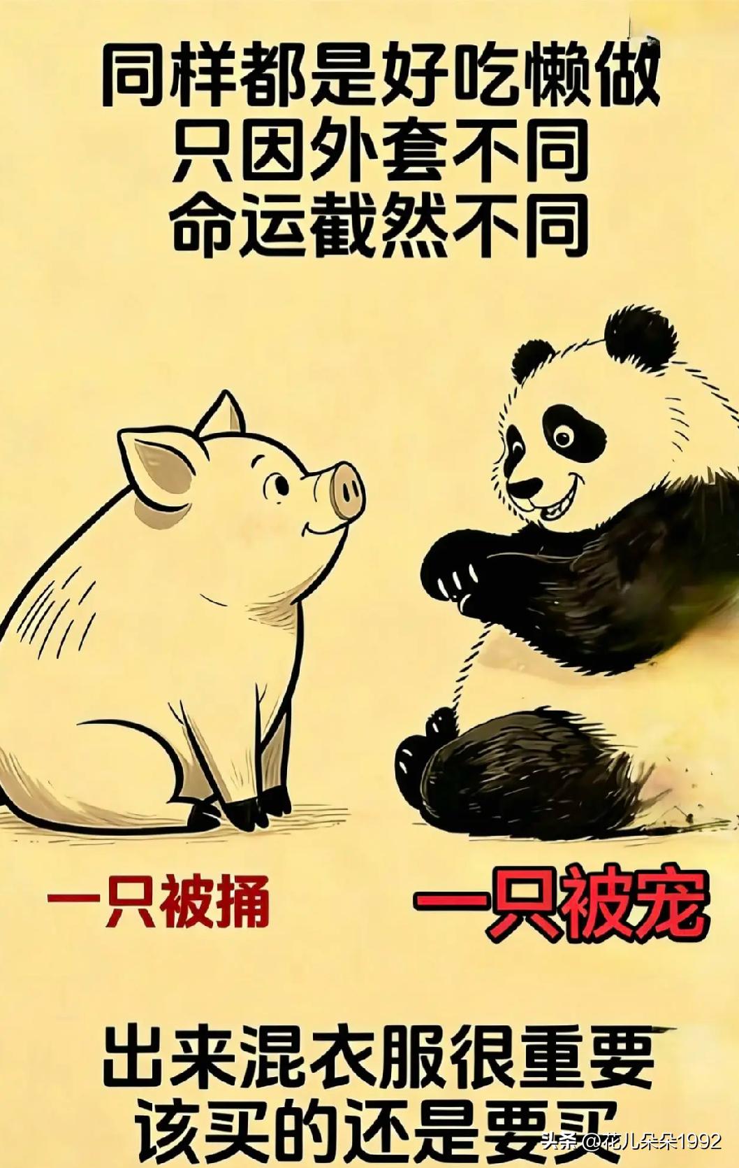 不是衣服和外貌带来的尊贵，而是数量太少带来的尊贵。毕竟物以稀为贵。
      