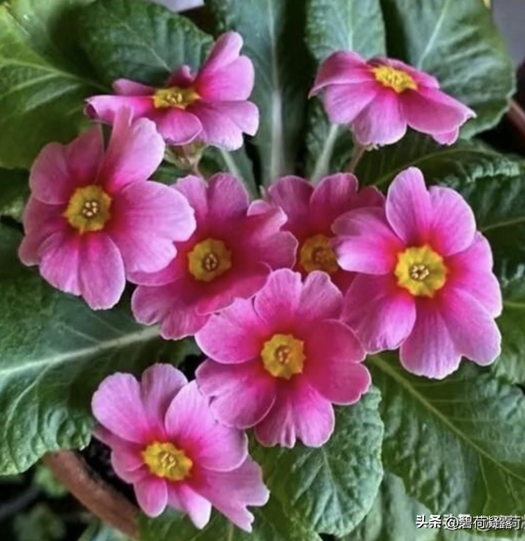 我的今日状态：😁轻松愉快
我这里的天气：☀️晴天，气温回升，最高24℃，最低4