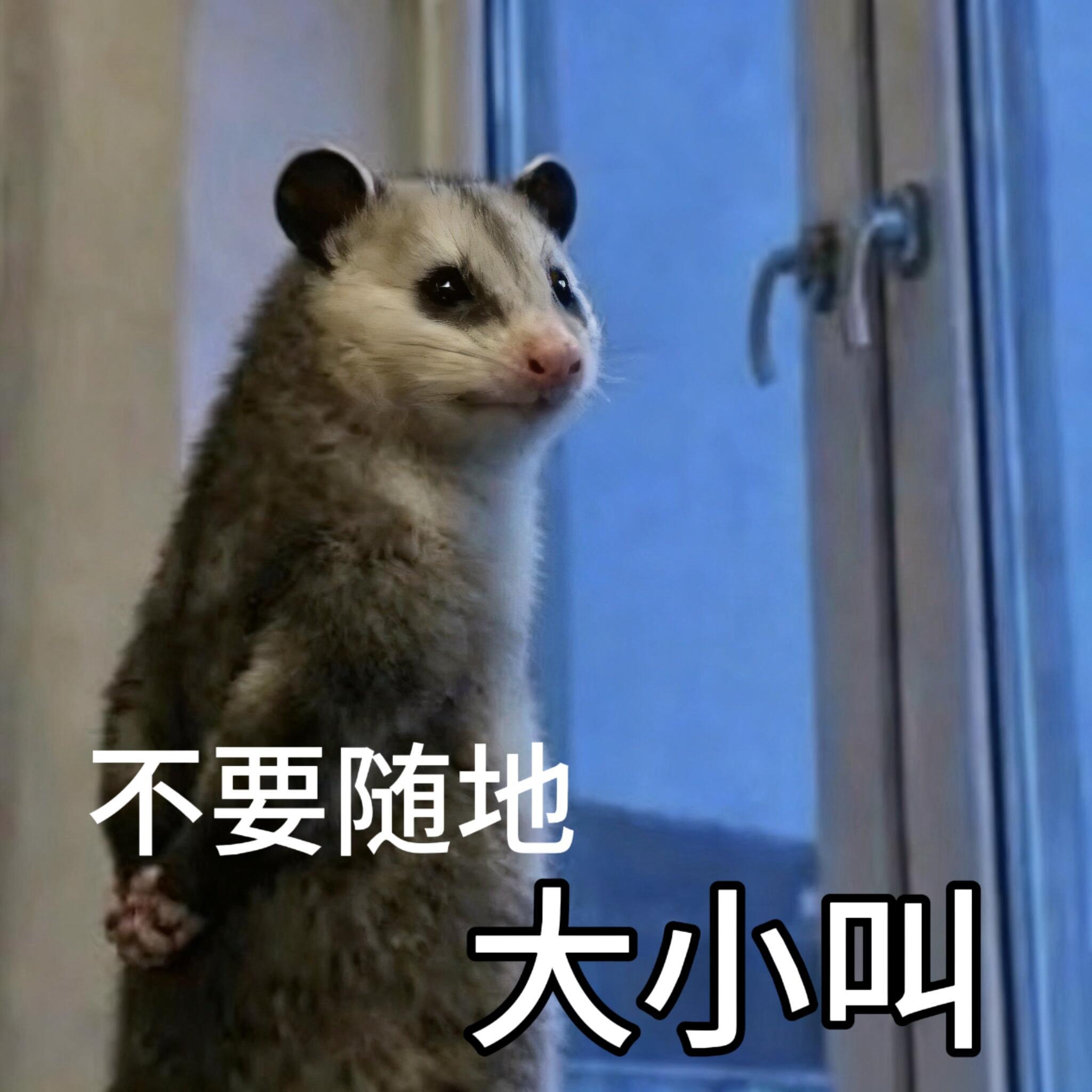 一想到hz看不惯有长进而家靖又实在太强，ta们只能无能狂怒的时候我就很爽 