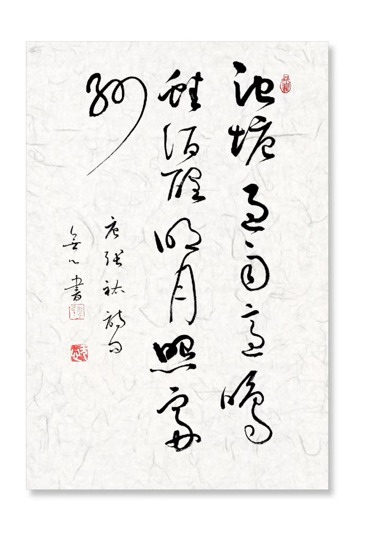 集联。听说北方下雪了，我已经多年没看到雪。草书 我的书法作品 写字是一种生活 书