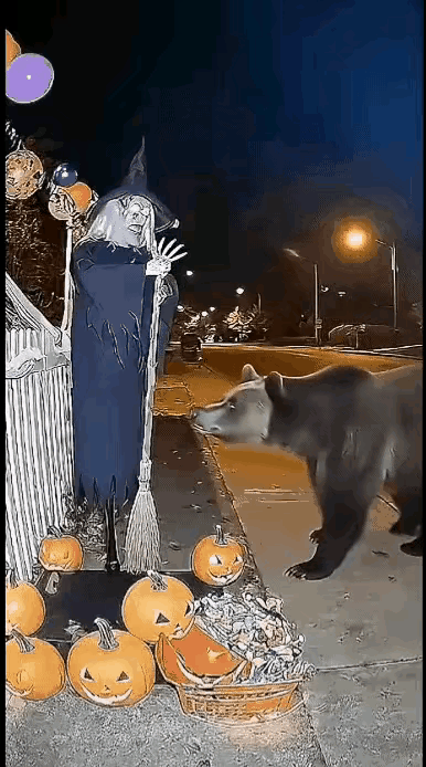 这两个画面，很能考验人的眼力，不知道你看出来没有，哪一个画面是真实发生的故事，哪