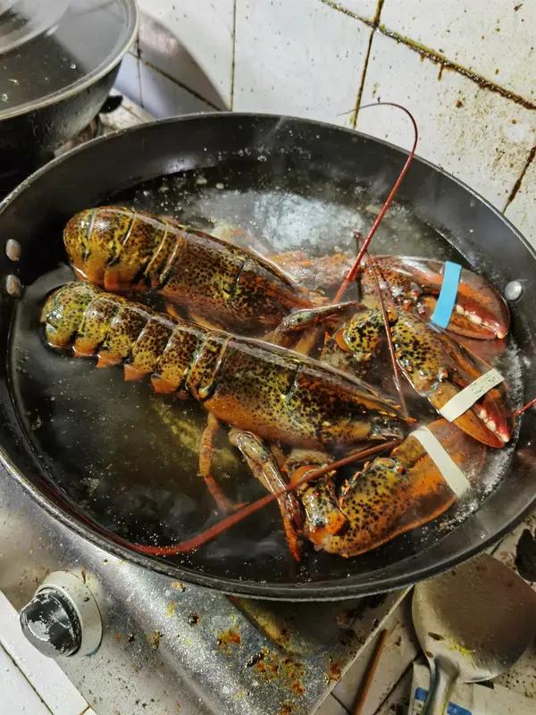 从情感层面来看，很多人会觉得这一规定体现了对动物的关怀。毕竟，活煮龙虾时它们在锅