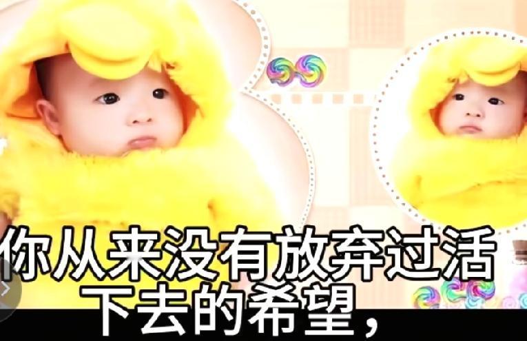 琪琪从来没有放弃过活下去的希望，琪琪曾经跑出来过三次，最远的一次都跑到市区了。可