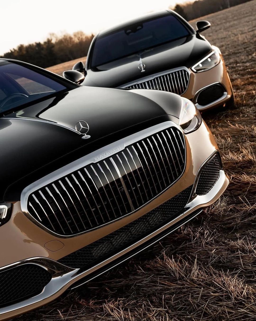 Mercedes Benz S-Classe 1 of 3 Maybach W2
