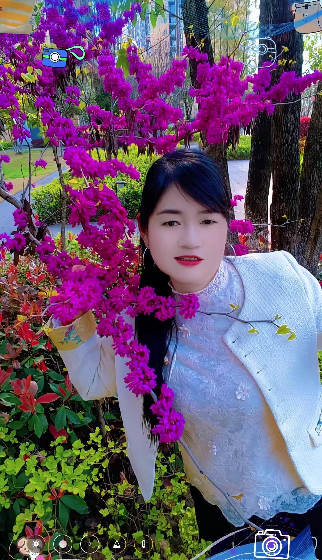 紫荆花漂亮赏花🌸听歌🎶