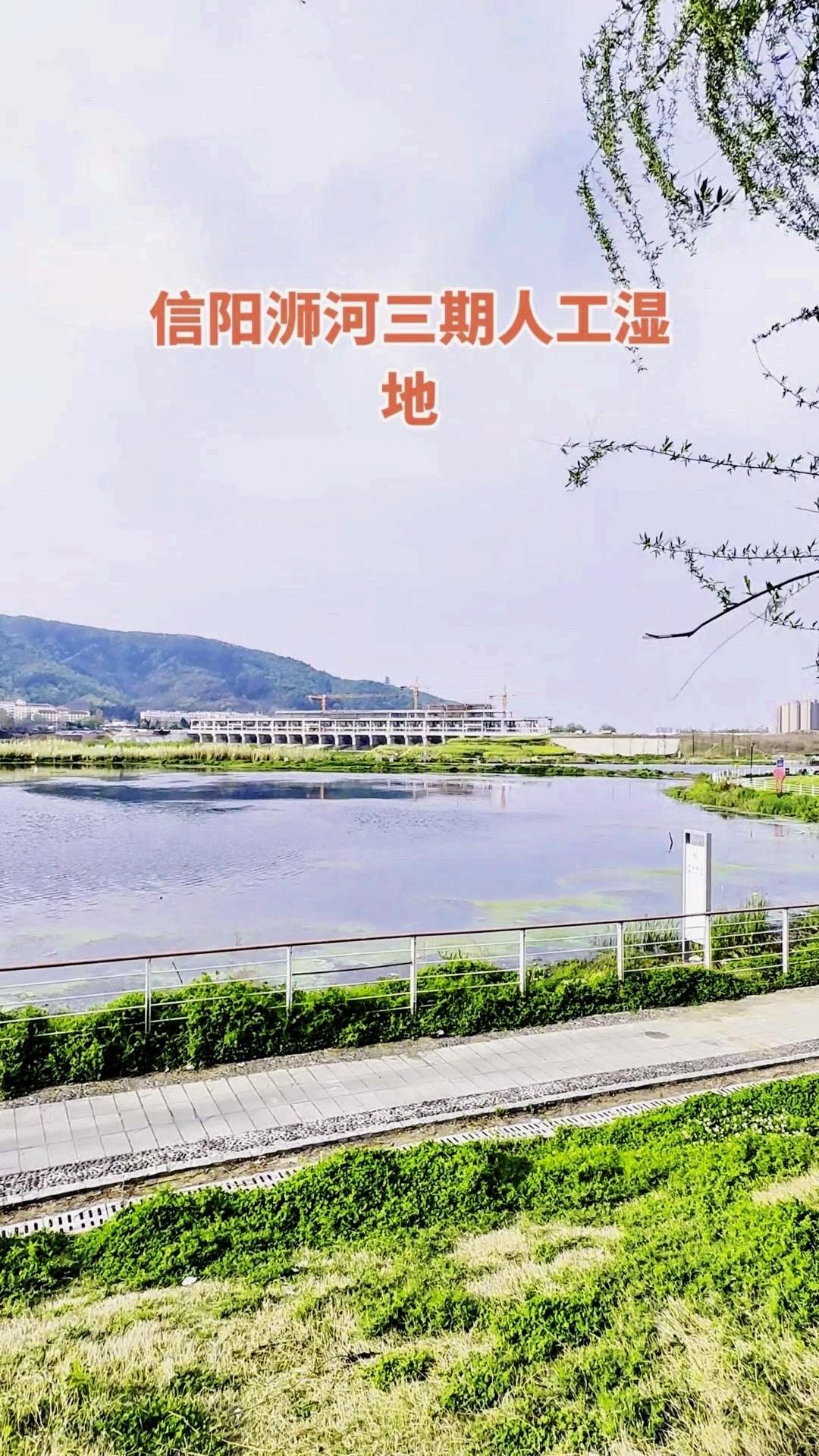 🌿刚踏进水浉河三期人工湿地，整个人瞬间被眼前的绿意和流水裹住了——岸边草木长得