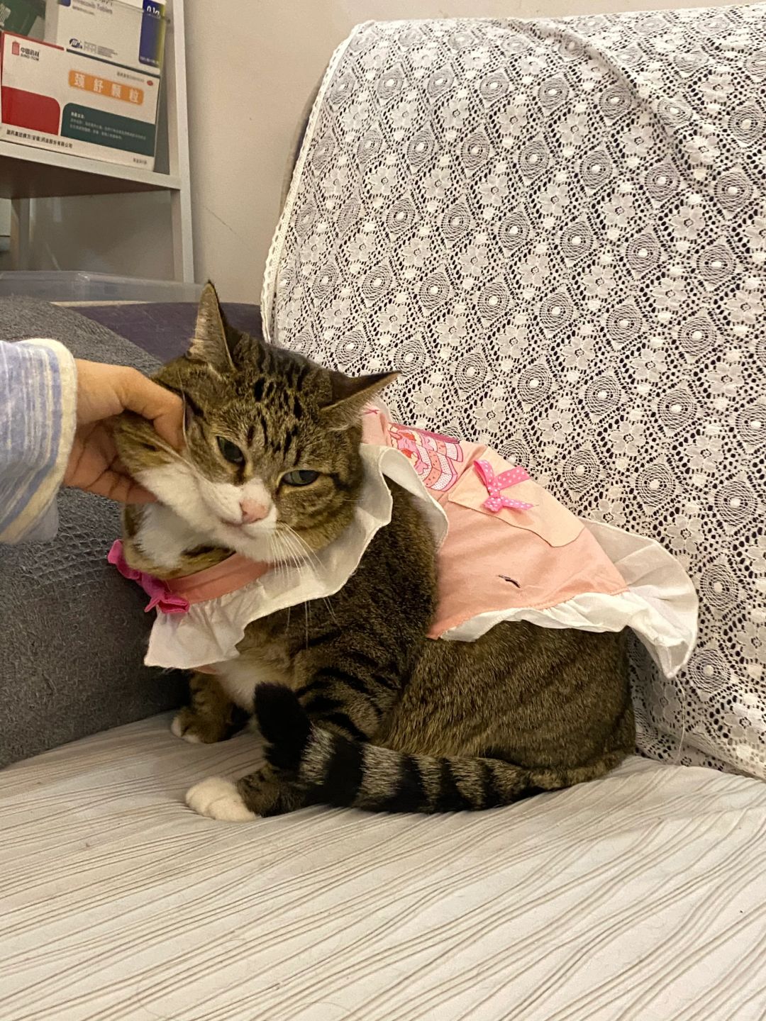 确实有点不服🫤