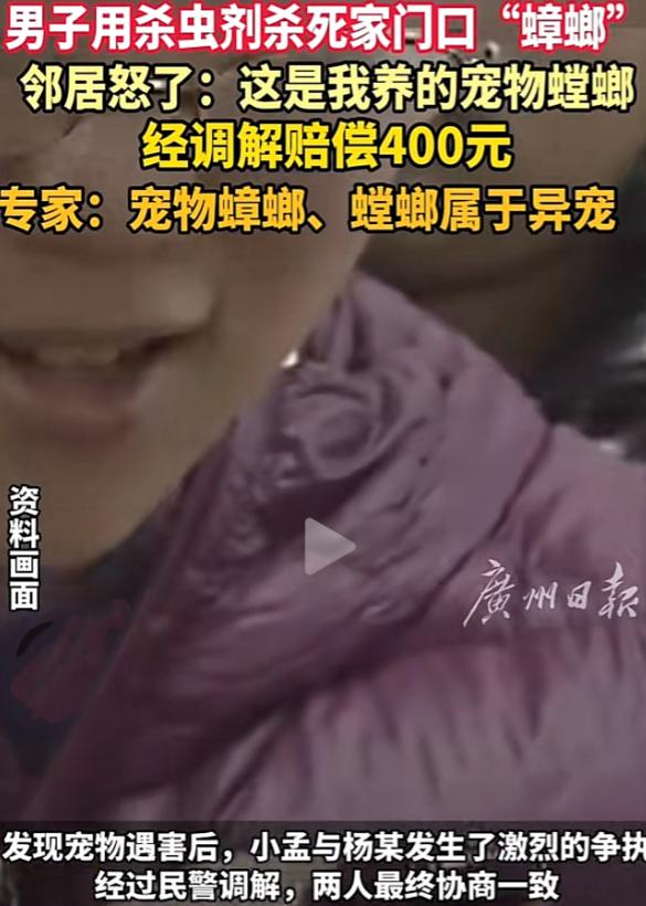 “太离谱了！”7月5日，浙江杭州，一男子见自家门口有两只蟑螂，没多想，就用杀虫剂